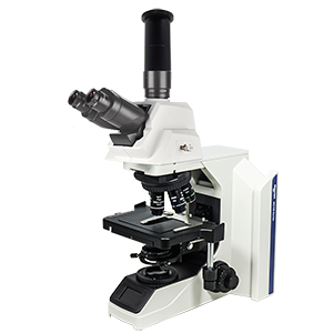 Biological Microscope